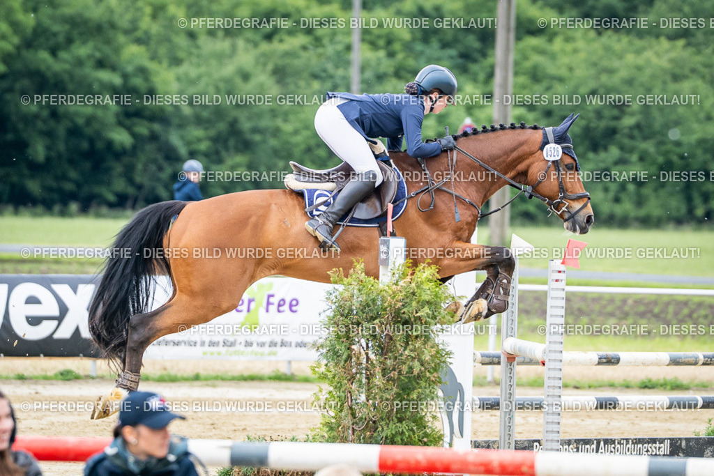 DSC04082 | Pferdegrafie