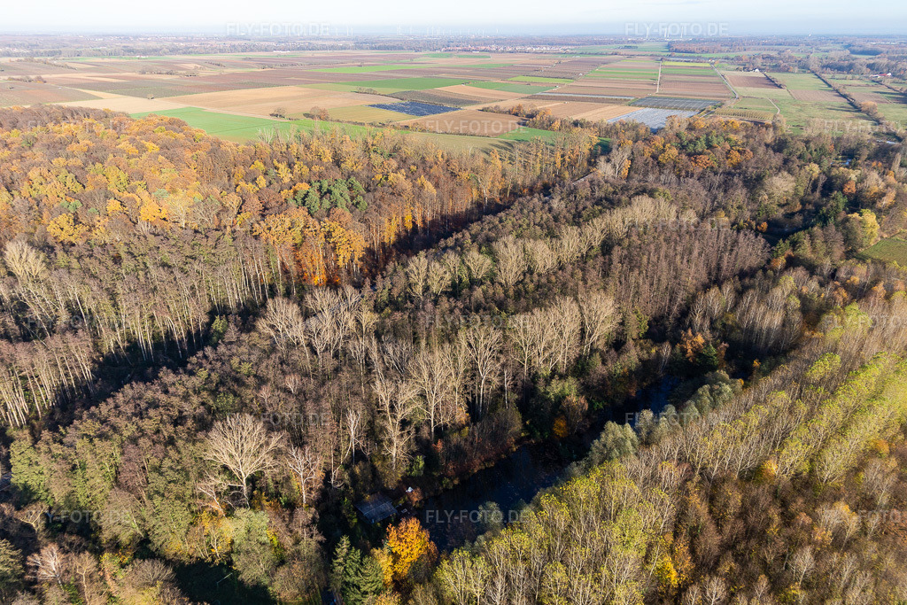 Luftbild: Billigheimer Bruch, Horbachtal zwischen Barbelroth, Hergersweiler und Winden in Barbelroth im Bundesland Rheinland-Pfalz in Deutschland. Foto: IMG_123887.jpg vom 21.11.2020 durch Werner Riehm/FLY-FOTO.de