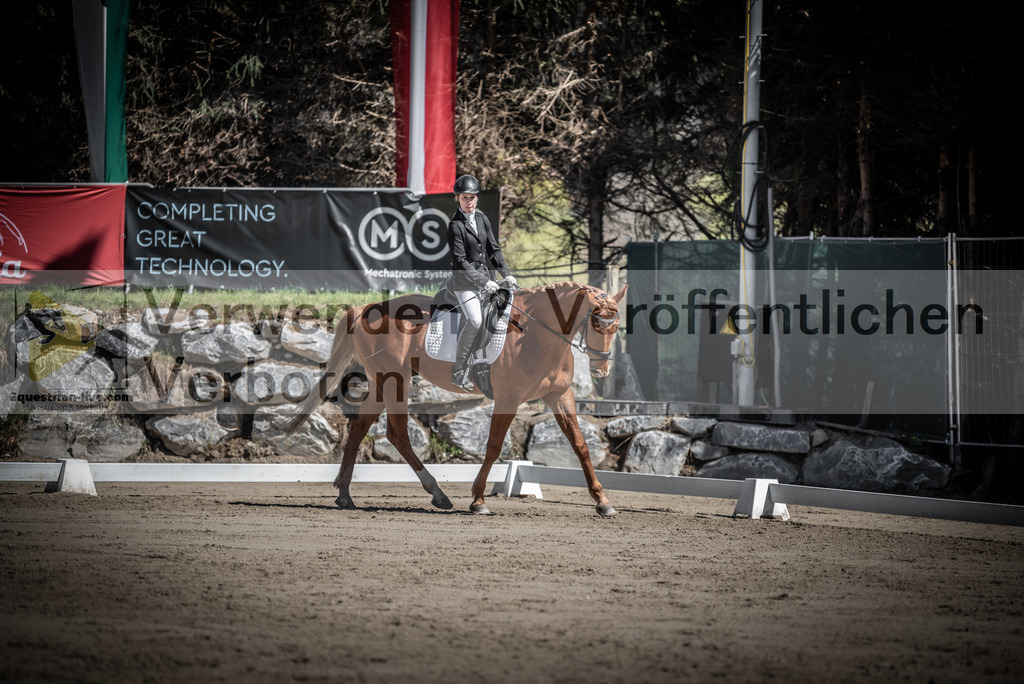 DSC_0116 | equestrian-live-com