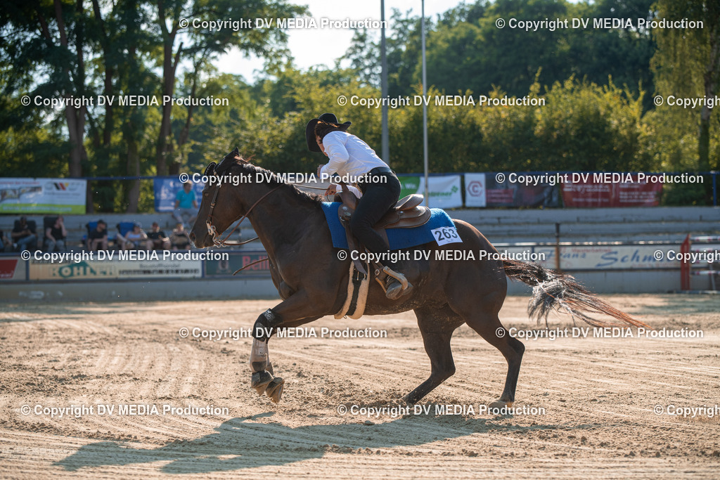 ZS2_8956 | dv-media-shop - Realisiert mit Pictrs.com