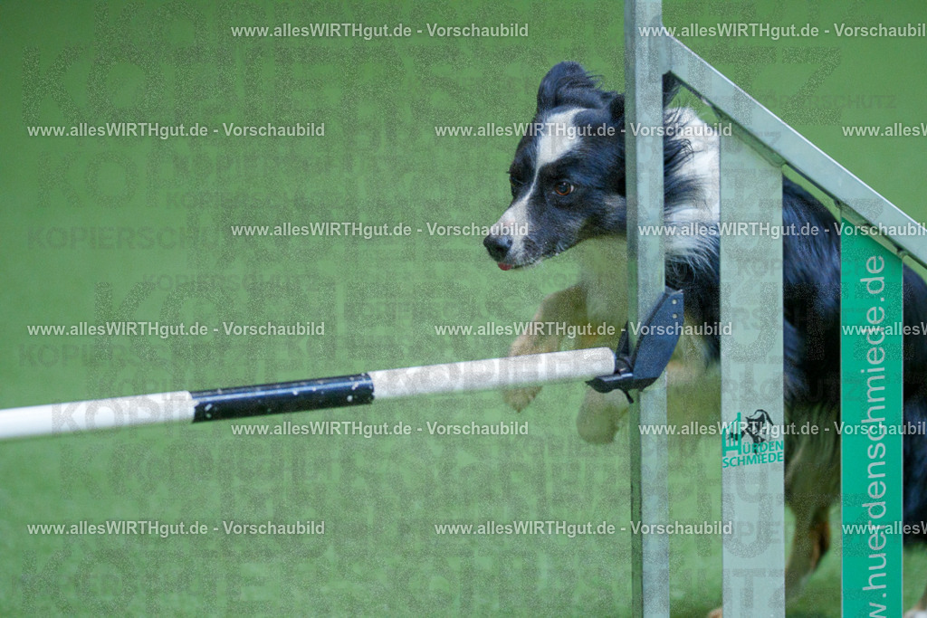 @allesWIRTHgut_Tierfotografie - www.allesWIRTHgut.de - 2604261344-7R502548 | Professionelle Tierfotografie in Mönchengladbach von Daniel Wirth (allesWIRTHgut). Liebevolle & natürliche Bilder von Hunden & Katzen für unvergessliche Erinnerungen.