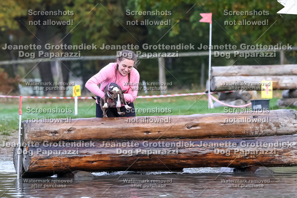 Dog Paparazzi - Strongdog 10-25-6412 | Dog Paparazzi Jeanette Grottendiek Fotografie & Videografie - Realisiert mit Pictrs.com