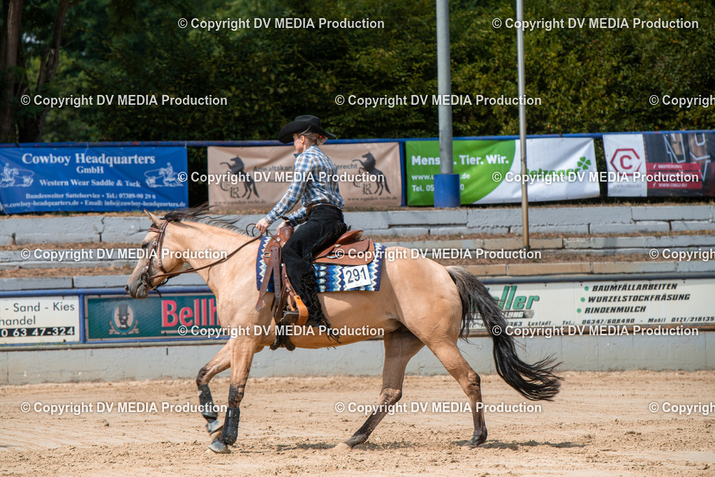 ZS3_9600 | dv-media-shop - Realisiert mit Pictrs.com