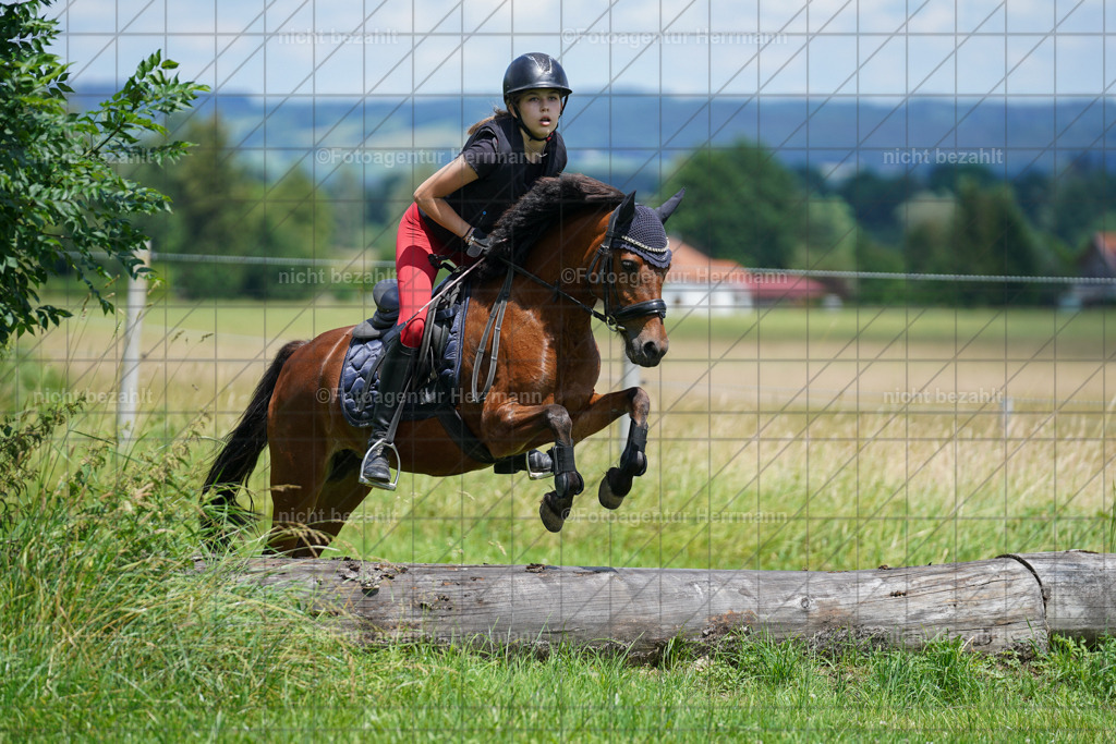 20240622-FAH07261 | Turnierfotografen Bayern, Reitsportbilder aus dem Geländekurs mit Felix Etzel auf dem Gut Waitzacker 2024