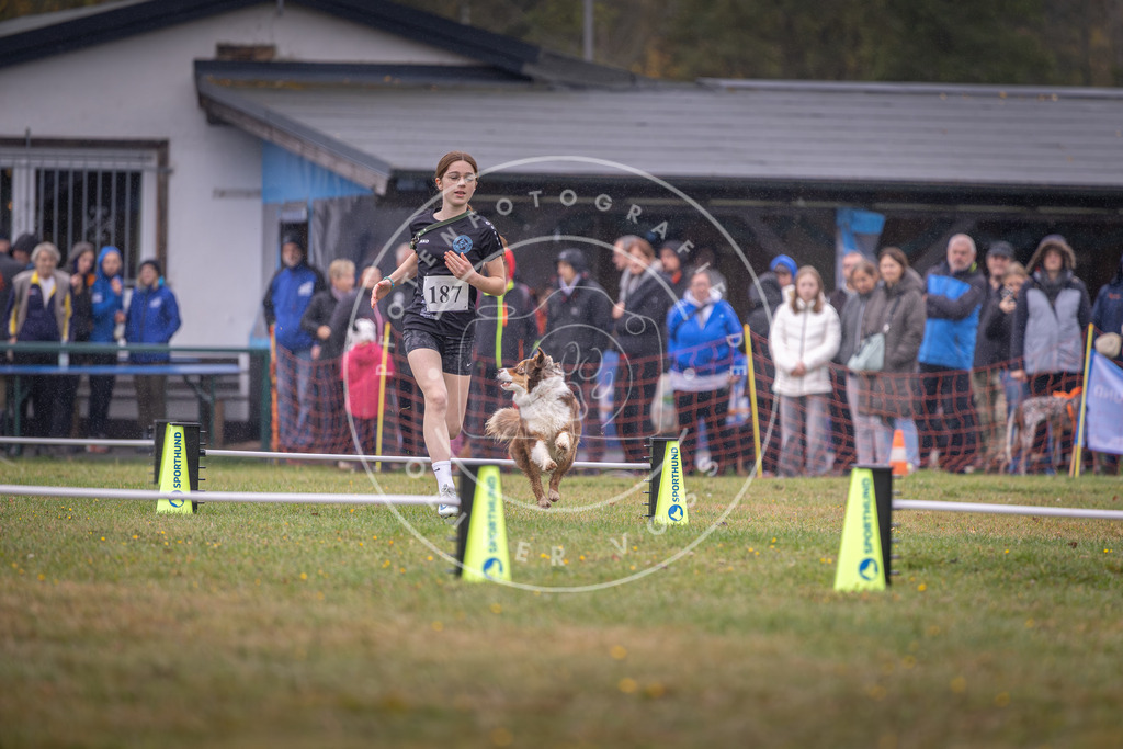 Pfotenfotografie_DV3A9793 | Hundefotografie, Tierfotograf, Pfotenfotografie, Fotoshooting Hund, Hunde Portrait, Hundesport, Hundeportraits, Heideshooting, Hunde, Sportfotograf, Hundefotograf, Turnierhundsport, THS,  - Realisiert mit Pictrs.com