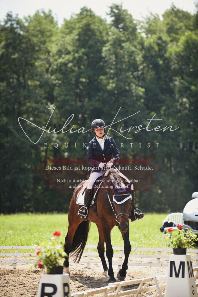 DSC_1010 | Pferde- und Turnierfotografie in Westsachsen. Pferdeportraits, Auftragszeichnungen und intuitive Kunst.