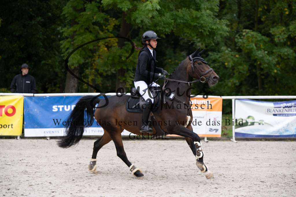 A7V08117 | Pferdefotograf