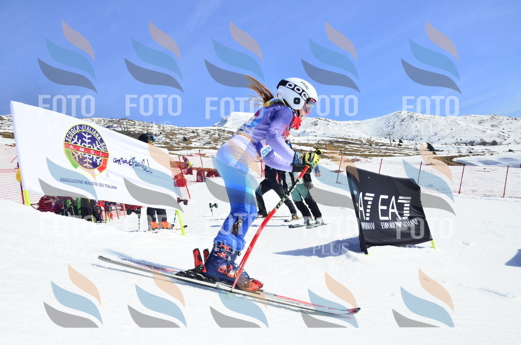 _ELE0481 | holidayphoto