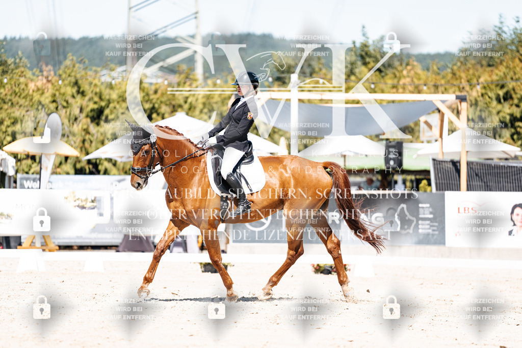 CK909567 | Turnierfotografie Pferdefotografie Trier Rheinland-Pfalz Pferdesport Reitsport Tierfotografie Sportfotografie Pferdevideo Pferdevideografie Equestrianvideography equestrianphotography  - Realisiert mit Pictrs.com