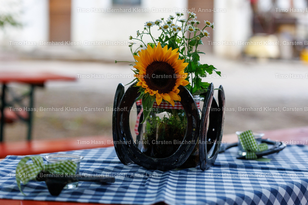 IMG_8440 | foto-team-bernhard - Realisiert mit Pictrs.com