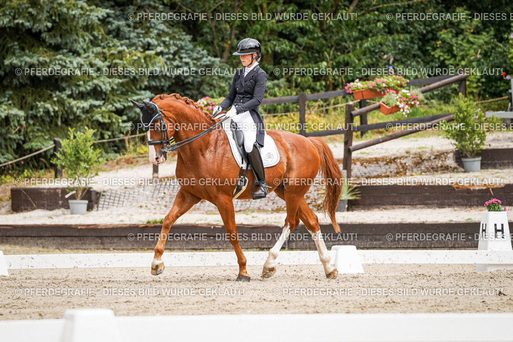 DSC05678 | Pferdegrafie