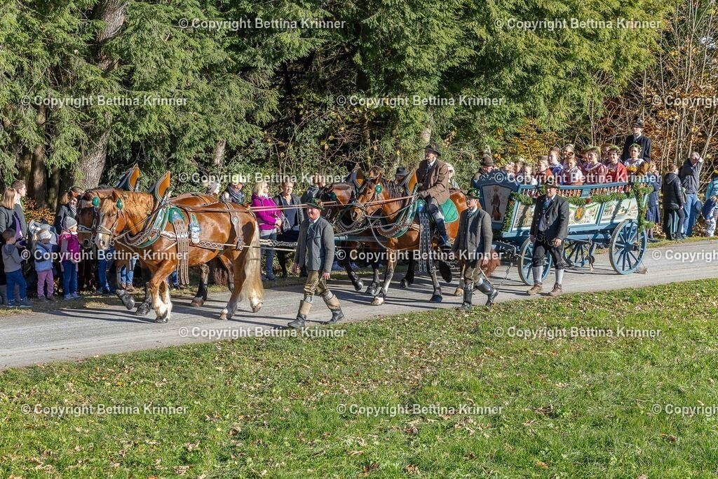 LBT25-486 | foto-bettina-krinner - Realisiert mit Pictrs.com