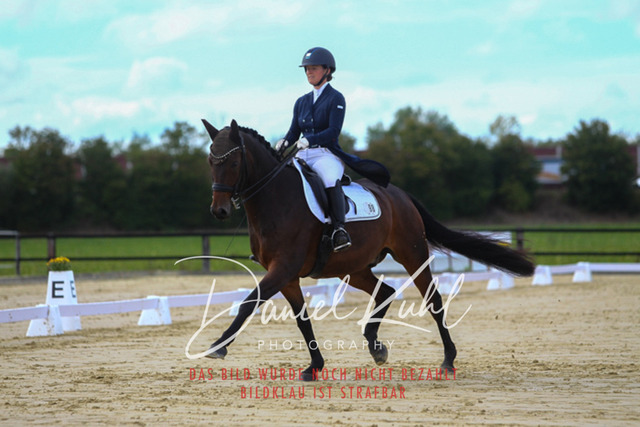 DKP44420 | Turniersportfotografie; Pferdefotografie; Dressurfotografie