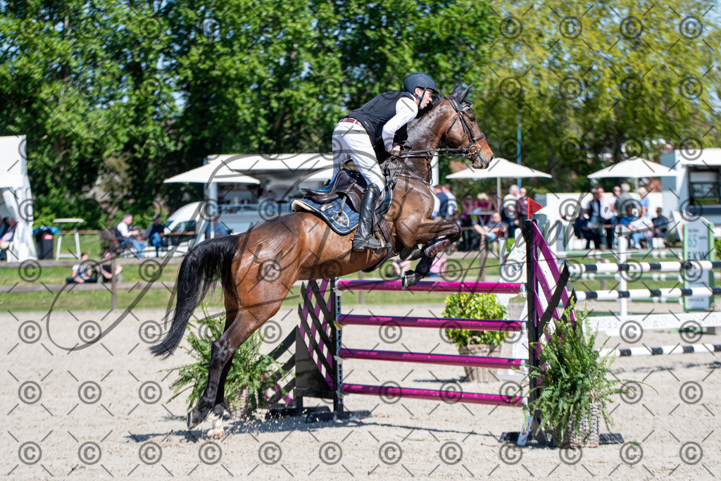 KPT_1155 | andre_photographic