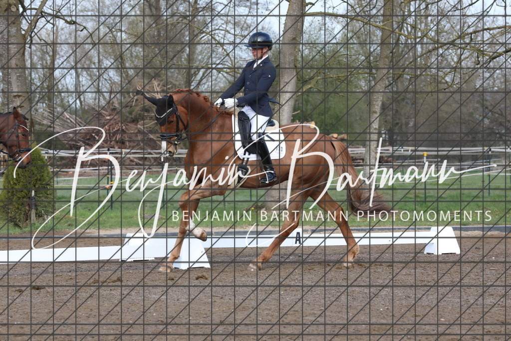 AZ2A6418 | Benjamin Bartmann Photomoments