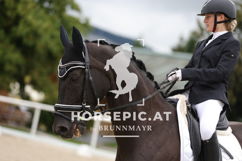 0P6A9048 | Willkommen bei Brunnmayr - Design & Fotografie – Ihrem Spezialisten für Reitturniere und Pferdeveranstaltungen in Oberösterreich, Salzburg und Bayern! Seit über 17 Jahren sind wir leidenschaftlich dabei.