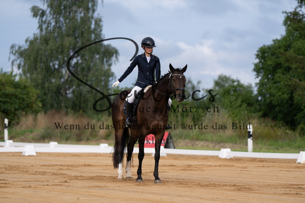 A7V05084 | Pferdefotograf