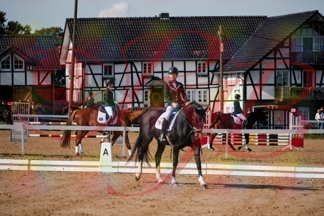 2026_10_03_Siefer-Hof_121809_Z63_41936449 | Professionelle Reitsport-, Turnier- und Eventfotografie von Robert Broda. Galerien mit ausgewählten und bearbeiteten Bildern direkt online ansehen und bestellen.