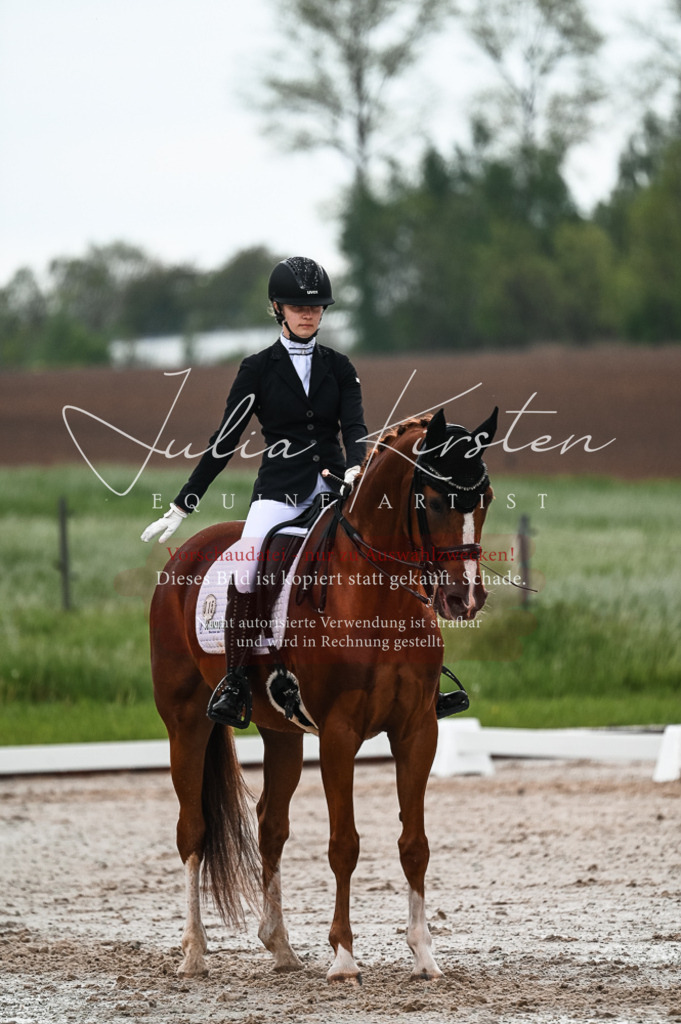 DSC_4267 | Pferde- und Turnierfotografie in Westsachsen. Pferdeportraits, Auftragszeichnungen und intuitive Kunst.
