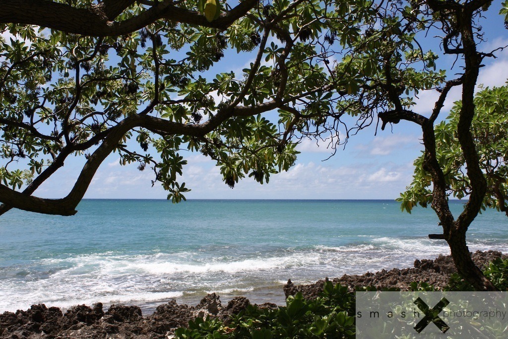 Turtle Bay 01 | Oahu, Hawaii (USA)