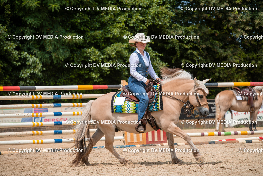 ZS2_8225 | dv-media-shop - Realisiert mit Pictrs.com