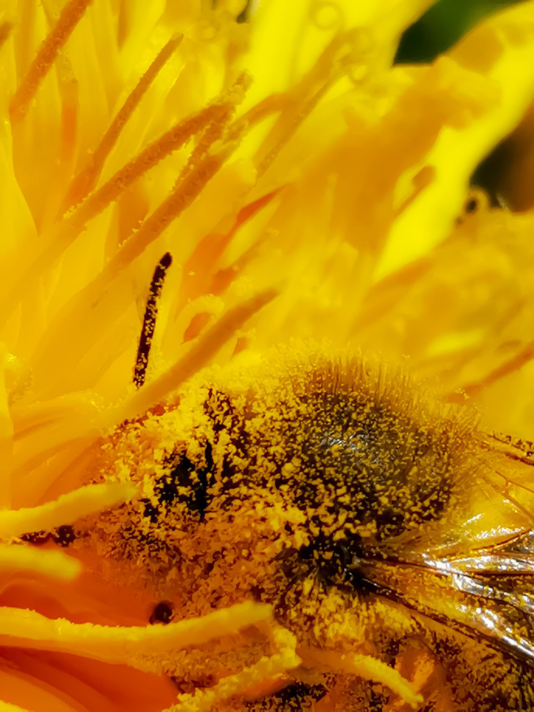 PSX_20230515_224441 | mtkfoto_ - Realisiert mit Pictrs.com