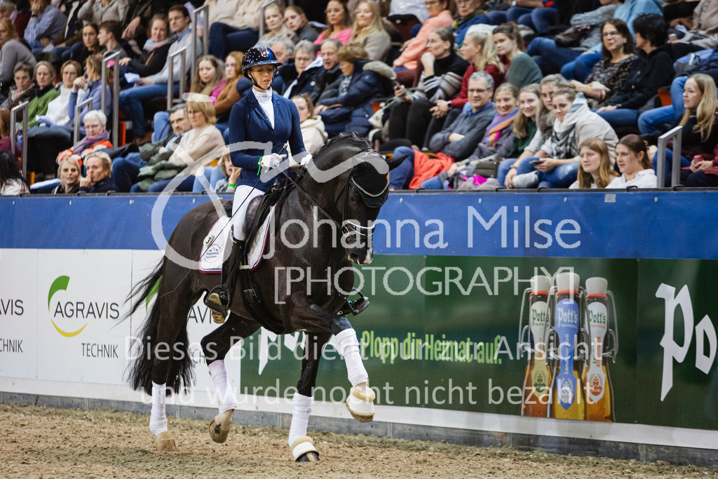 250108_Muenster_Hengstpräsentation-120 | Deine schönsten Turniermomente als professionelle Fotos! Entdecke hochwertige Pferdesport-Fotografie im Online-Shop. Jetzt Fotos finden & bestellen!