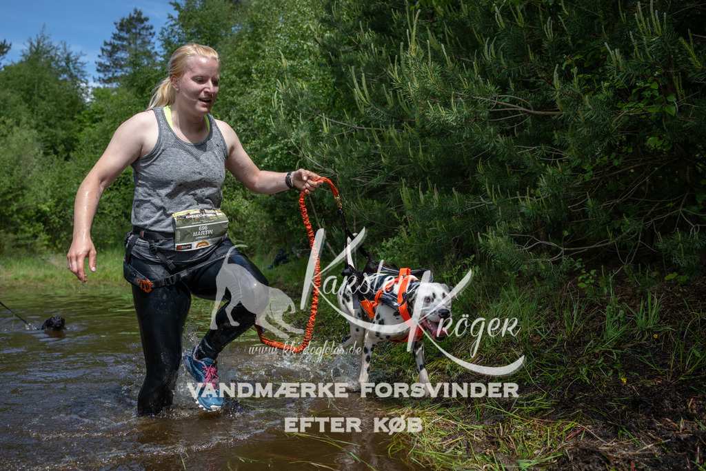 1203DKK991634 | kk-dogfotos