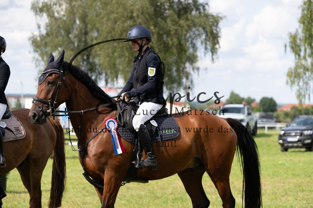 A7V04792 | Pferdefotograf