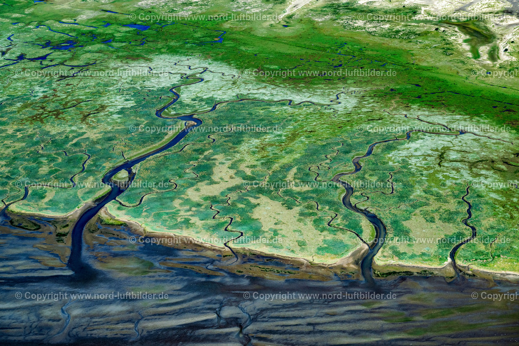 Norderney_Seegraswiesen_ELS_6758050923 | NORDERNEY 05.09.2023 Grasflächen- Strukturen einer Salzwiesen- Landschaft auf der Südseite der Insel Norderney im Bundesland Niedersachsen, Deutschland. // Grassland structures of a salt marsh landscape on the south side of the island of Norderney in the state of Lower Saxony, Germanyy. Foto: Martin Elsen