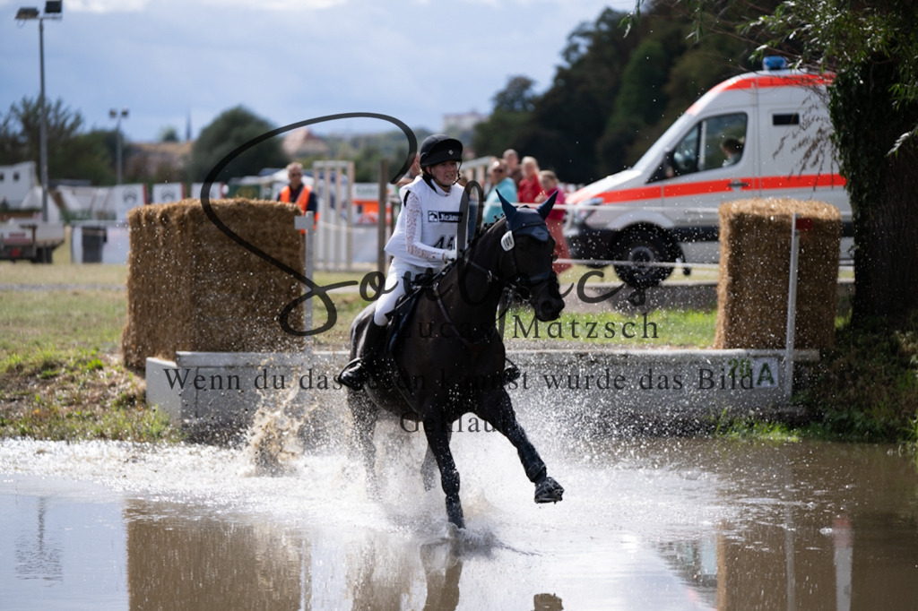 A7V01071 | Pferdefotograf