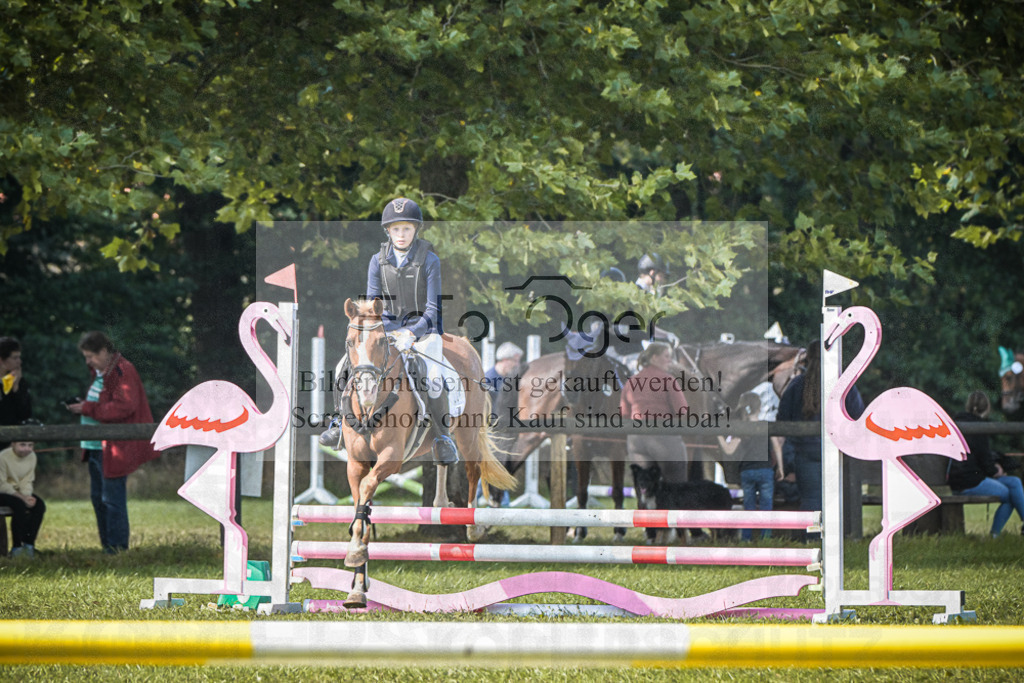 DOS_0285 | Entdecke hochwertige Reitturnierfotos von Foto Oger. Professionell, emotional und authentisch – jetzt Lieblingsmomente im Shop bestellen.Deutschlandweite Turnierfotografie. - Realisiert mit Pictrs.com