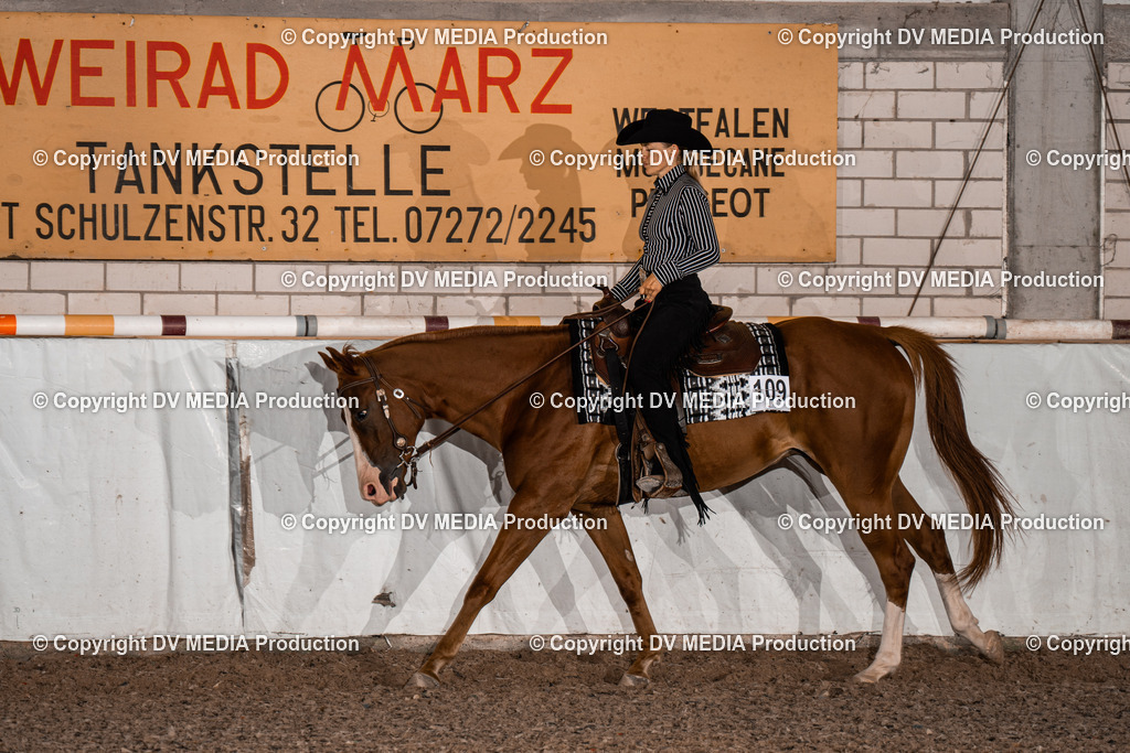 ZH300141 | dv-media-shop - Realisiert mit Pictrs.com