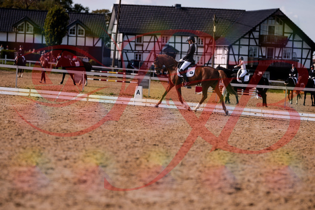 2026_10_03_Siefer-Hof_133143_Z81_86130754 | Professionelle Reitsport-, Turnier- und Eventfotografie von Robert Broda. Galerien mit ausgewählten und bearbeiteten Bildern direkt online ansehen und bestellen.