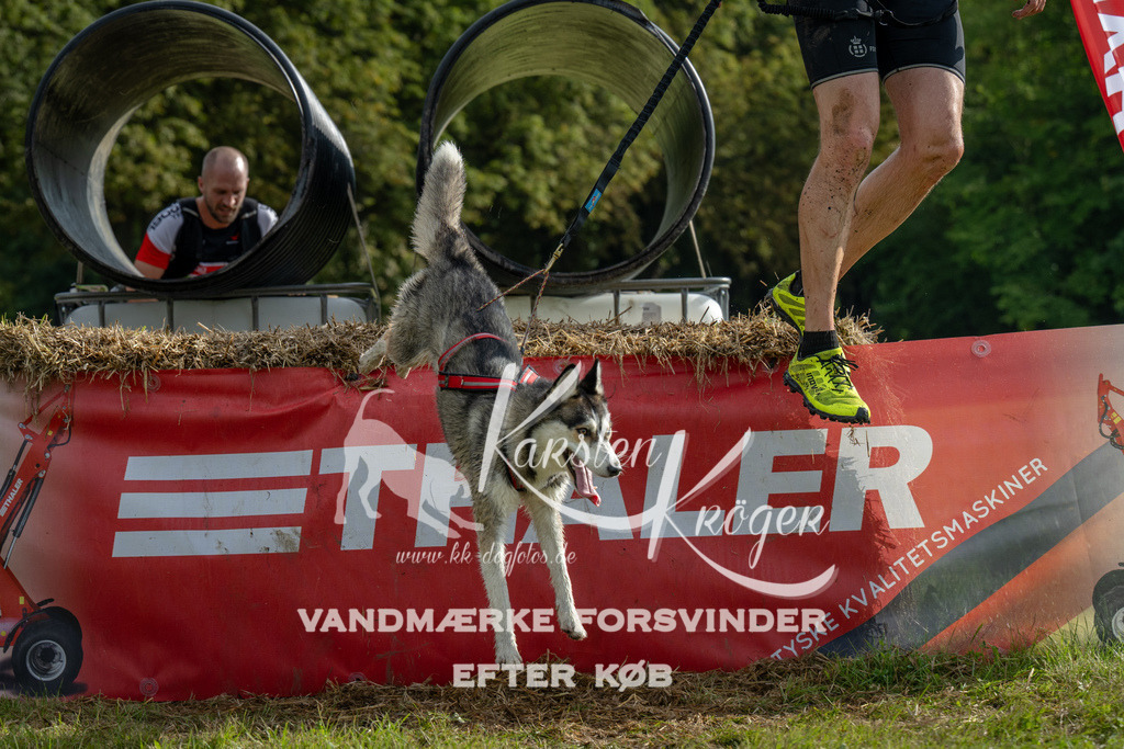 0930_ZZ90479 | kk-dogfotos