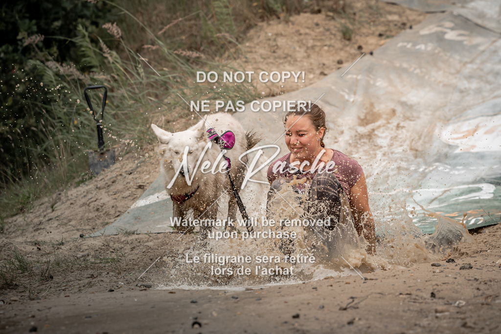 nelerasche_sa1500-1530_118 | nelerasche