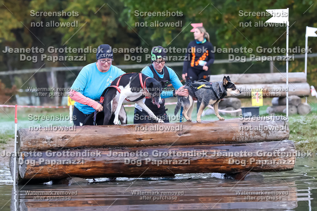 Dog Paparazzi - Strongdog 10-25-6248 | Dog Paparazzi Jeanette Grottendiek Fotografie & Videografie - Realisiert mit Pictrs.com
