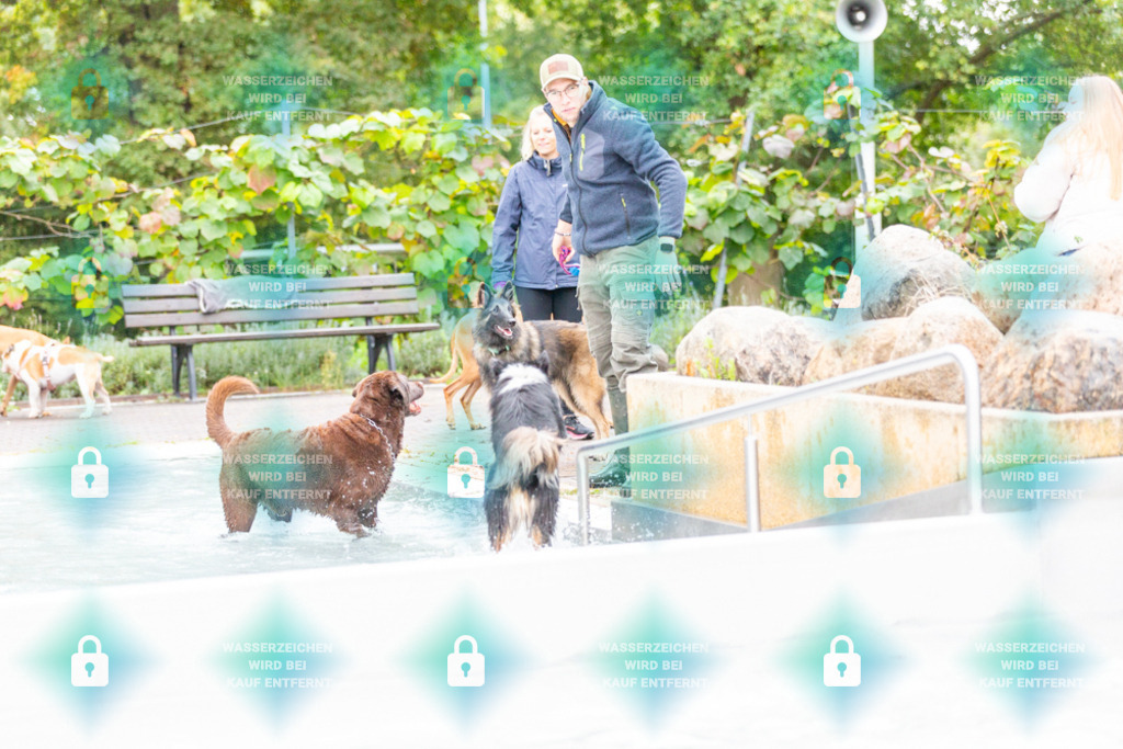 _HP_7386_1000o | HetPix, HetPix Fotodesign, Fotografie, Fotodesign, Webshop, Sportfotografie, Portraitfotografie, Onlineshop, Sportfotografie, Polch, Motorsportfotografie, Eventfotografie