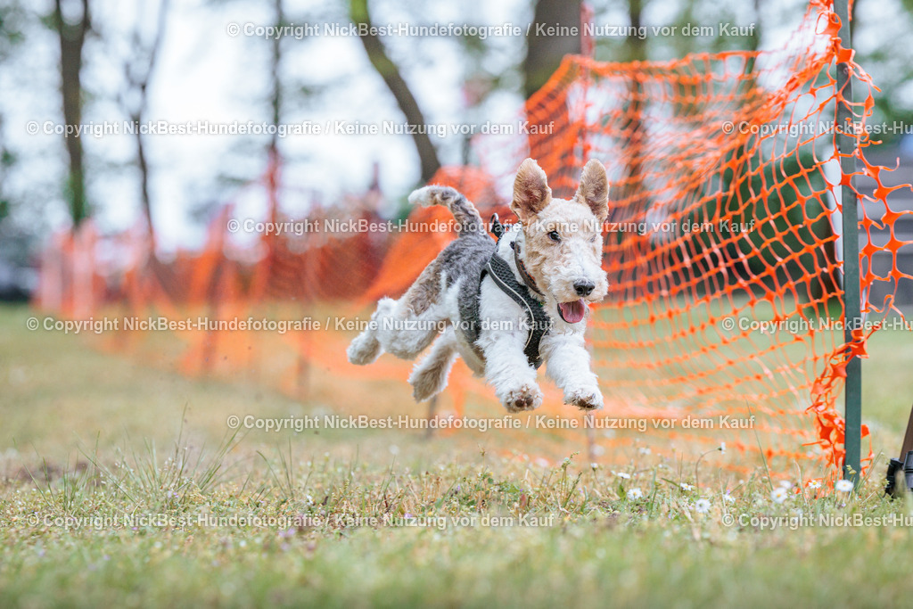 Sage Hunderennen Frühlingsfest-2026-Nickbest-Hundefotografie-0705 | Dein Hund! Dein Moment! Deine Erinnerungen! Hundefotografie in Bremen Blumenthal. Ich fange die besonderen Momente deines Vierbeiners ein – ob Indoor mit Blitzanlage oder in der freien Natur. Sicher dir dein Moment und dein Termin für eure Erinnerungen.
