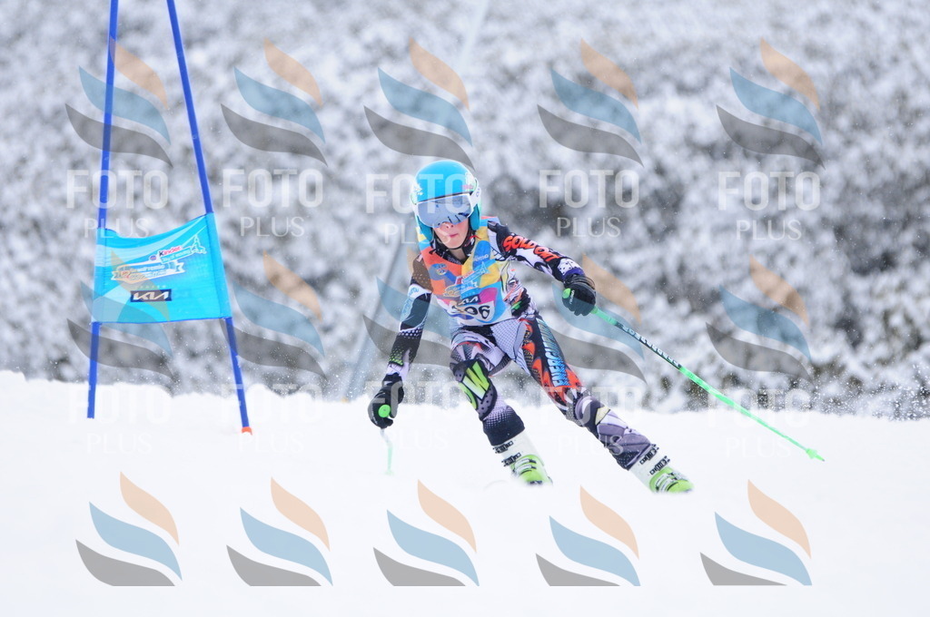 C4192 | holidayphoto