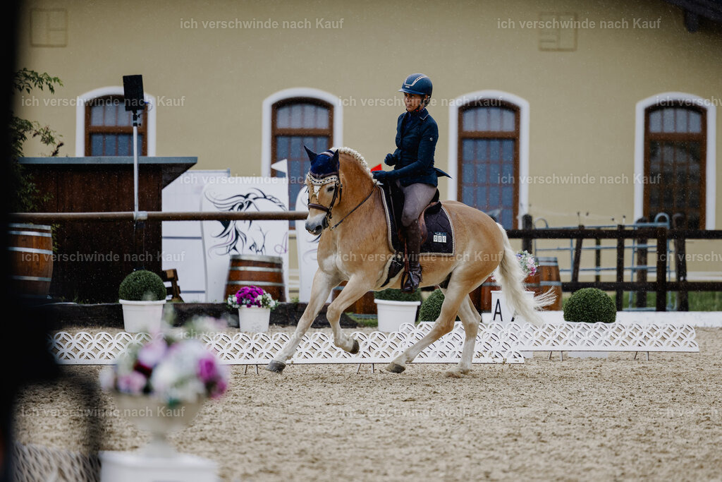 Tanesha5FHC2025-24858 | working equitationturnier fotograf videograf stoibphotography marixx film working equitation deutschland reitsport turnierfotografie eventfotografie equestrian events