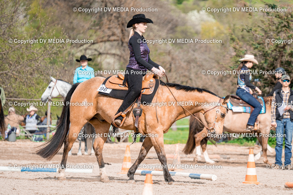 BAL02699 | dv-media-shop - Realisiert mit Pictrs.com