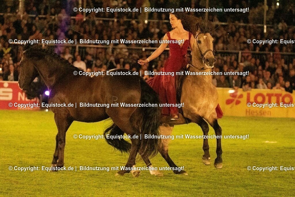 20230526_Pferdenacht_1424 | equistock