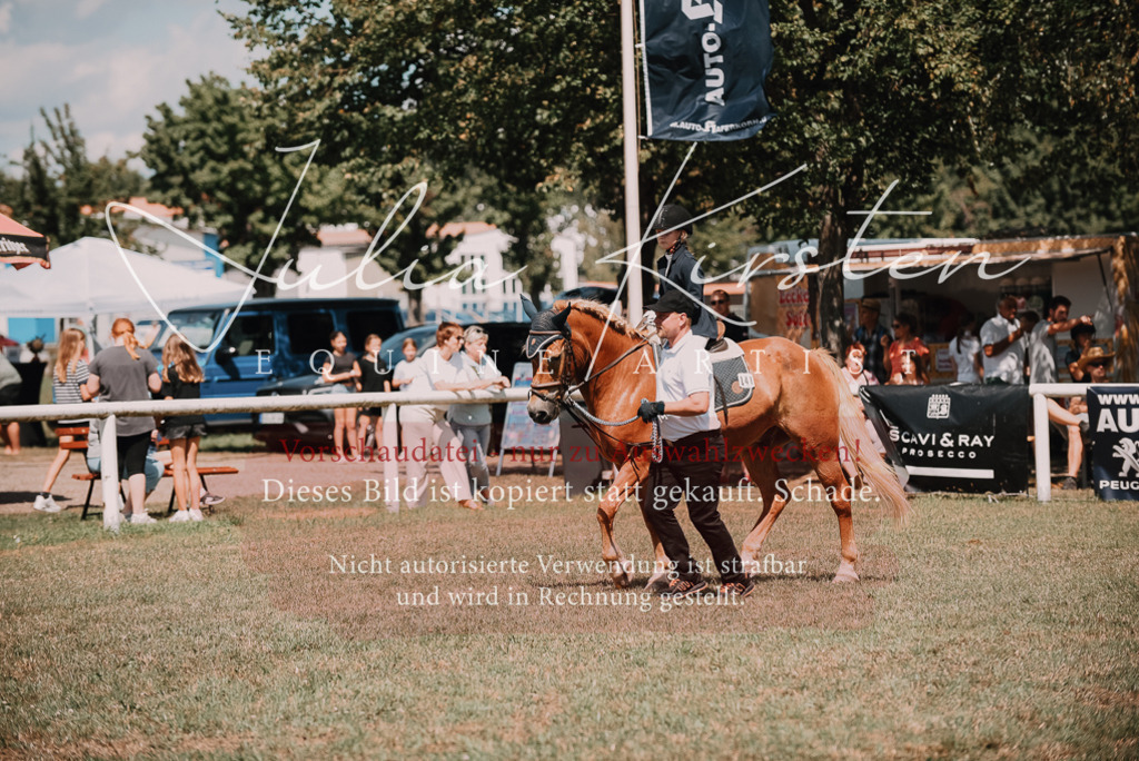 DSC_6182 | Pferde- und Turnierfotografie in Westsachsen. Pferdeportraits, Auftragszeichnungen und intuitive Kunst.