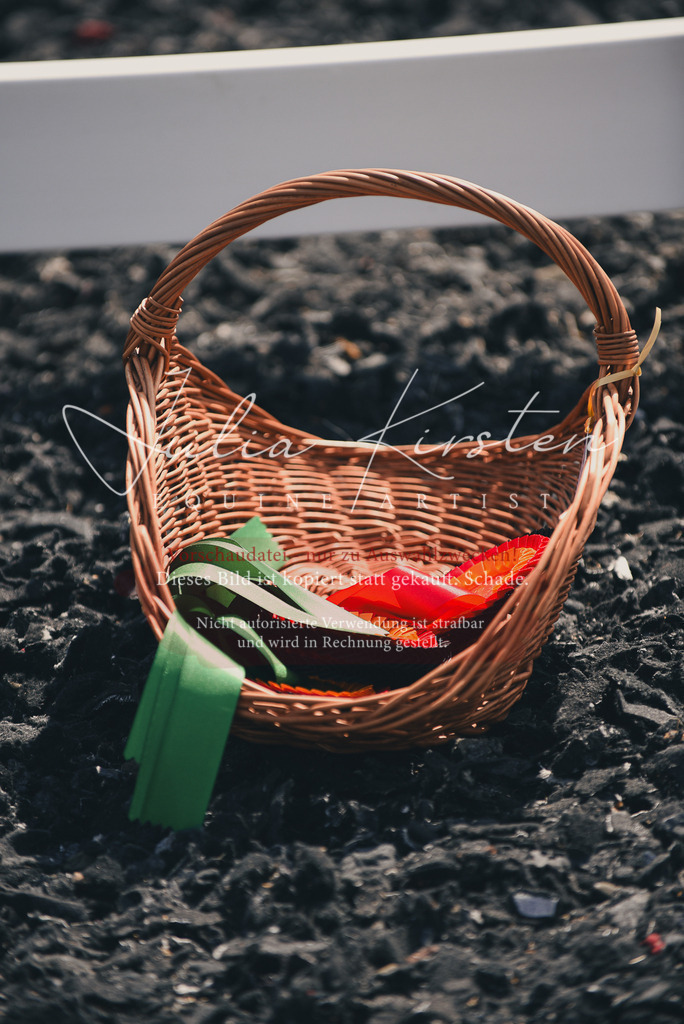 DSC_5147 | Pferde- und Turnierfotografie in Westsachsen. Pferdeportraits, Auftragszeichnungen und intuitive Kunst.