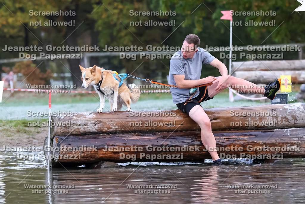 Dog Paparazzi - Strongdog 10-25-6188 | Dog Paparazzi Jeanette Grottendiek Fotografie & Videografie - Realisiert mit Pictrs.com