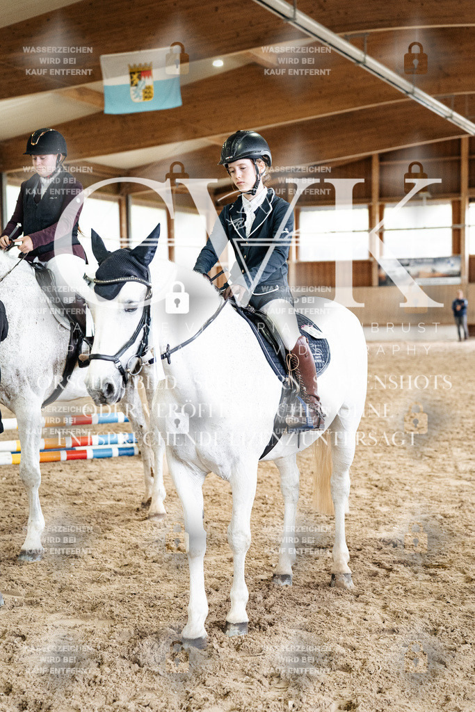 CK703439 | Turnierfotografie Pferdefotografie Trier Rheinland-Pfalz Pferdesport Reitsport Tierfotografie Sportfotografie Pferdevideo Pferdevideografie Equestrianvideography equestrianphotography  - Realisiert mit Pictrs.com