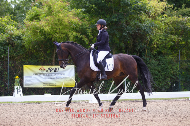 DKP40854 | Turniersportfotografie; Pferdefotografie; Dressurfotografie