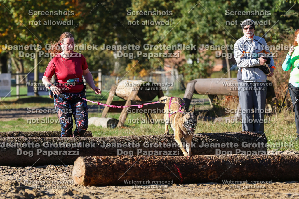 Dog Paparazzi - Strongdog 10-25-1513 | Dog Paparazzi Jeanette Grottendiek Fotografie & Videografie - Realisiert mit Pictrs.com