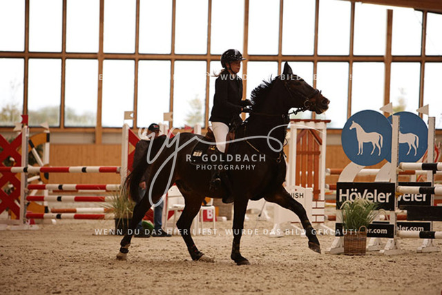 1J2A3600Anne Neumann_ Pokerface 40_ Kn425_ Hohen Wieschendorf_ Glantz | Foto- und Videografie für alles rund ums Pferd. Hochwertige Bilder und Videos vom Spring- und Dressurreiten, Voltigieren & mehr. Jetzt aktuelle Veranstaltungen und Preise im Shop ansehen. - Realisiert mit Pictrs.com